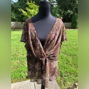 Lane Bryant Brown Top Size 18/20